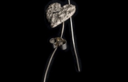 heart stem earrings